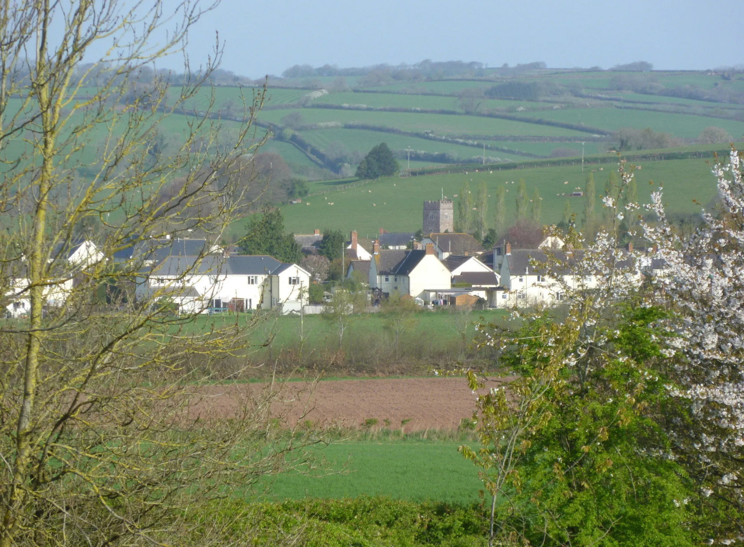 Brambles Bed and Breakfast