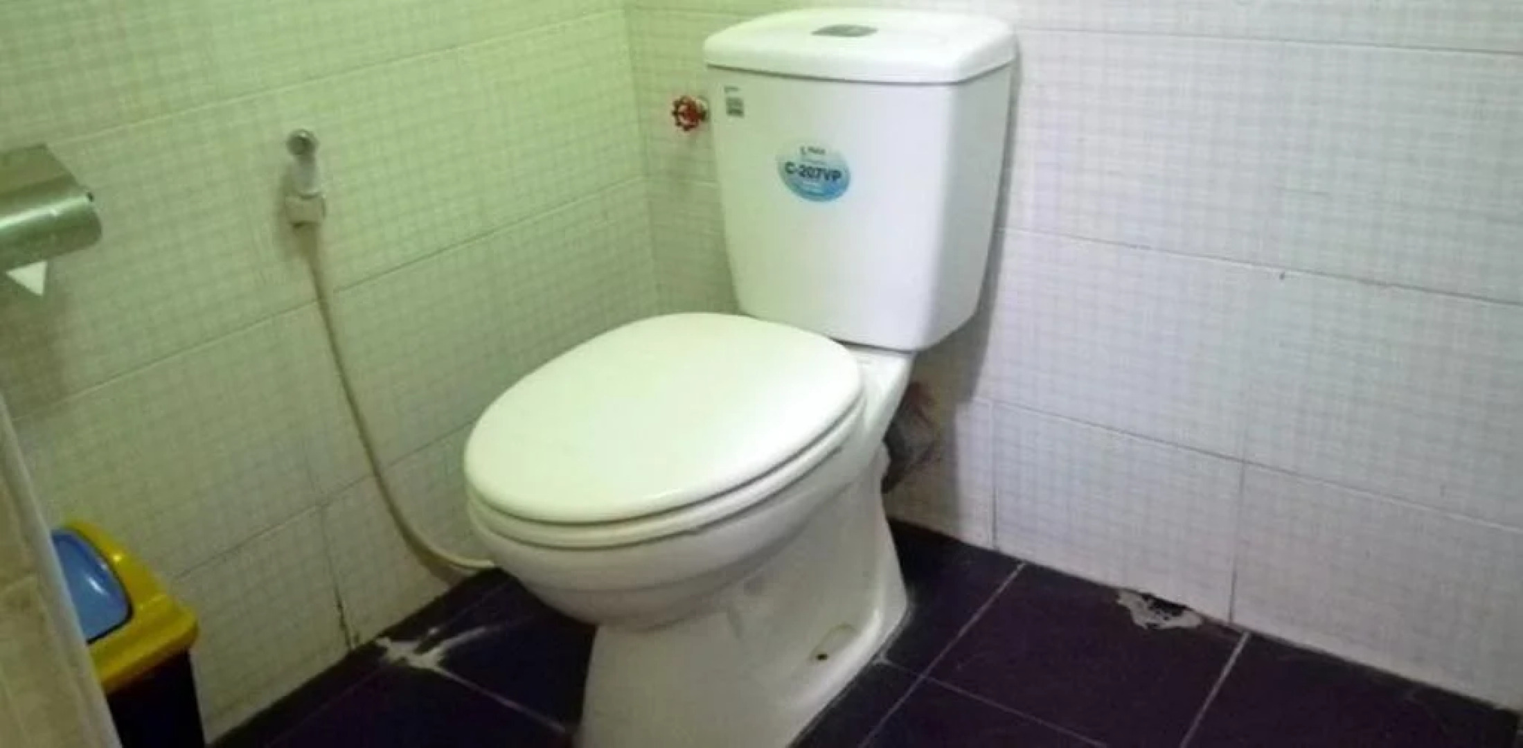 Shwe Than Lyin Hotel & Restaurant