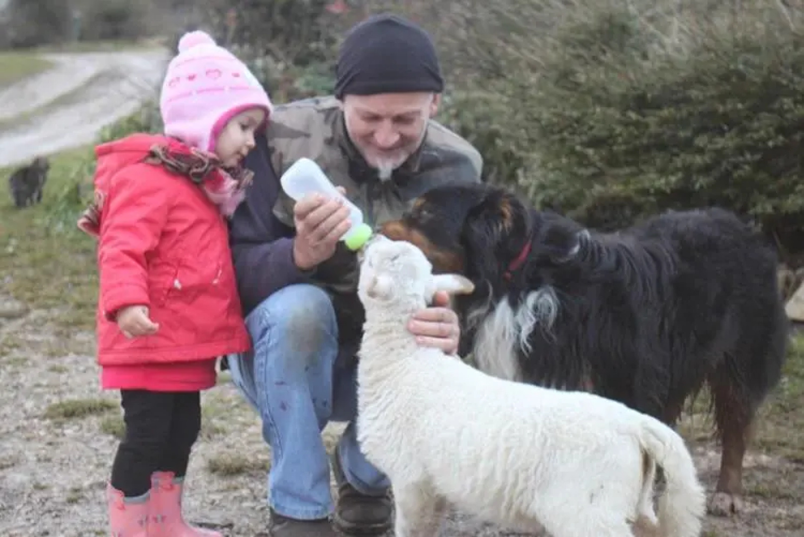 Ferme Pédagogique " L'Bout d'Chemin"