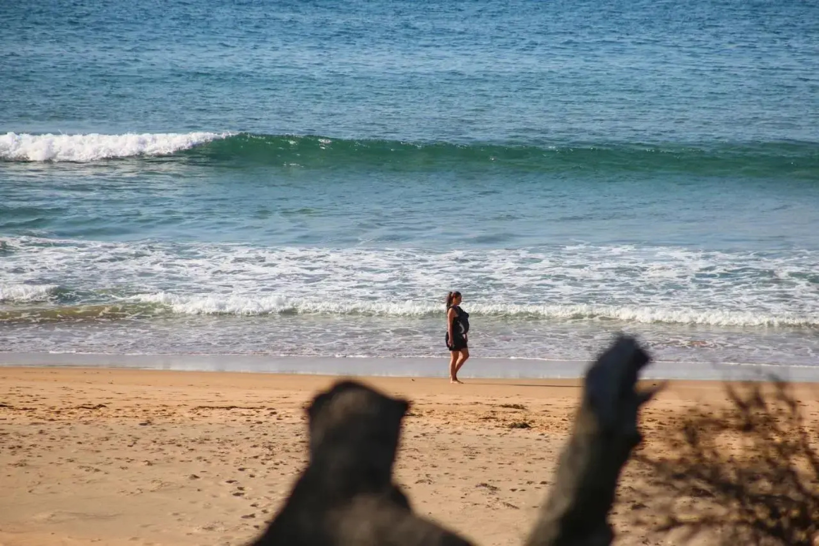 Surfspray I Pet Friendly I Absolute Beachfront