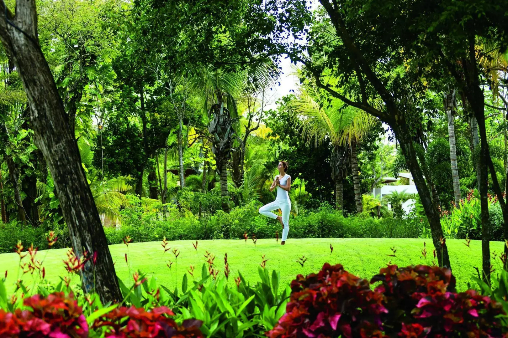 Dorado Beach, a Ritz-Carlton Reserve