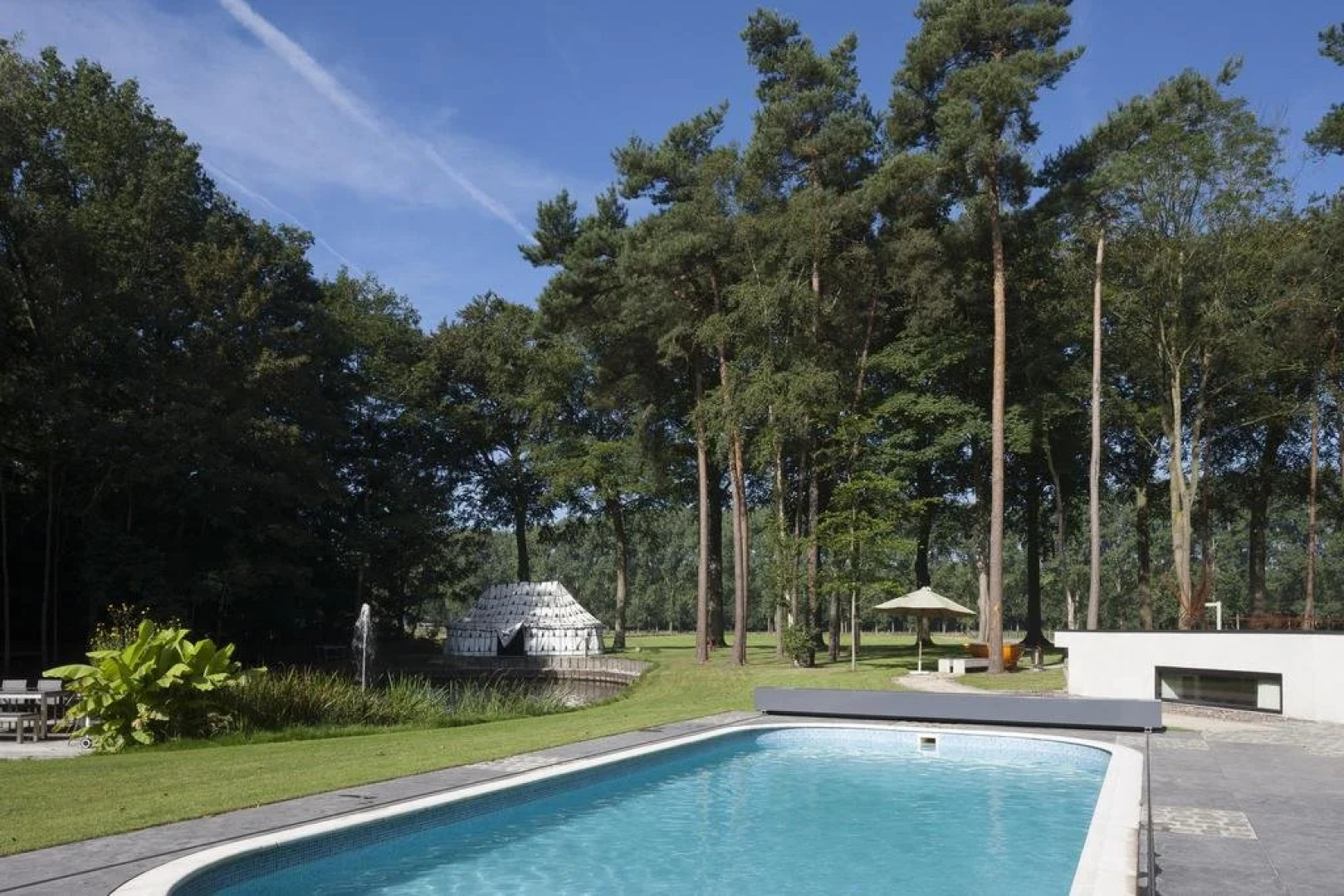 De Libellen van Waaroost