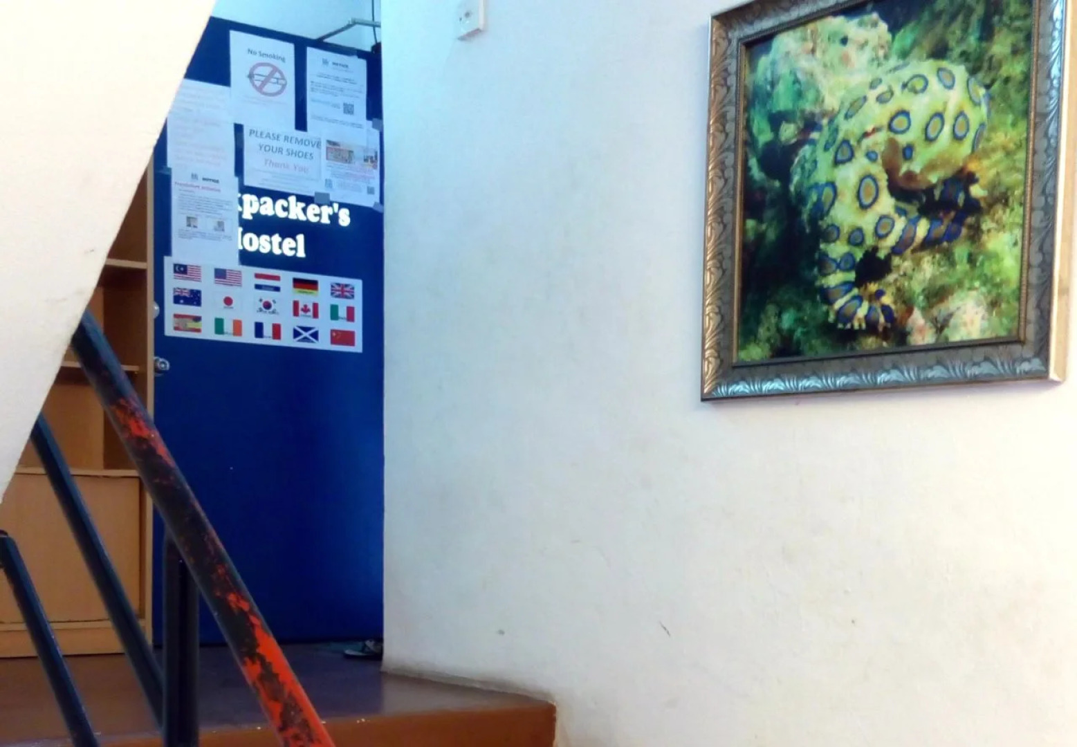 Backpacker's Freak Hostel