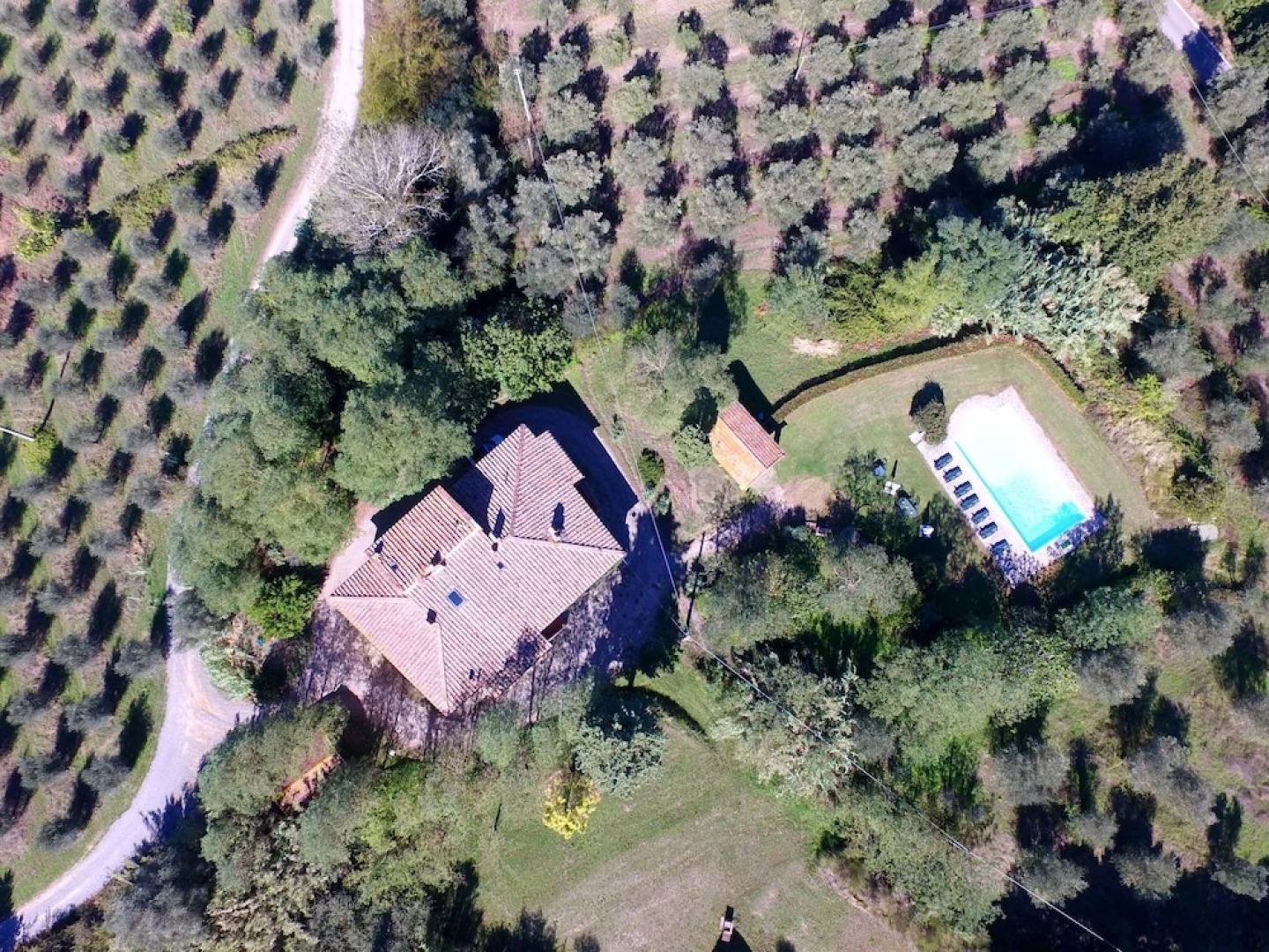 Luxurious Farmhouse in Ghizzano Italy with Swimming Pool