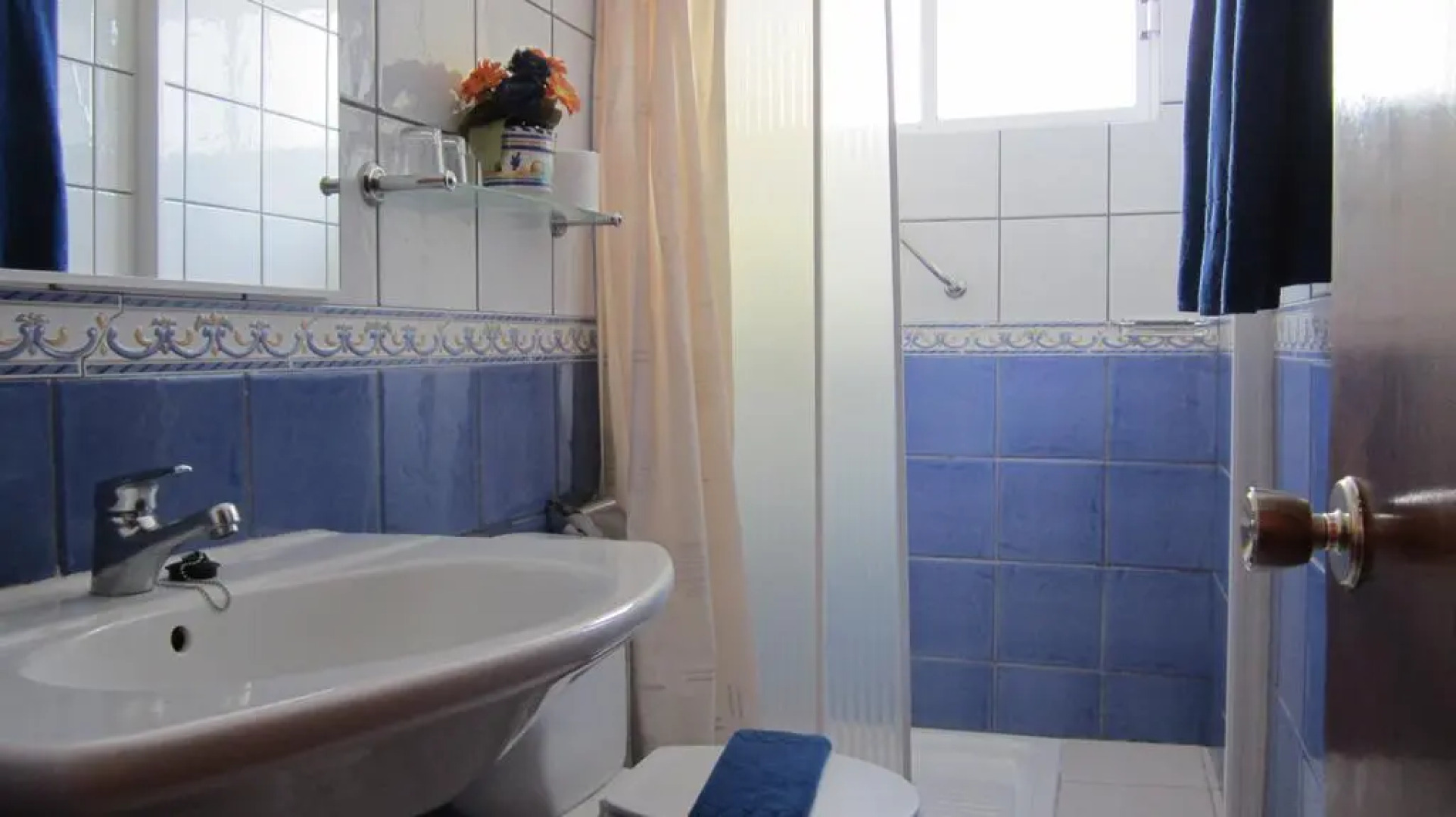 Apartamentos Amazonas