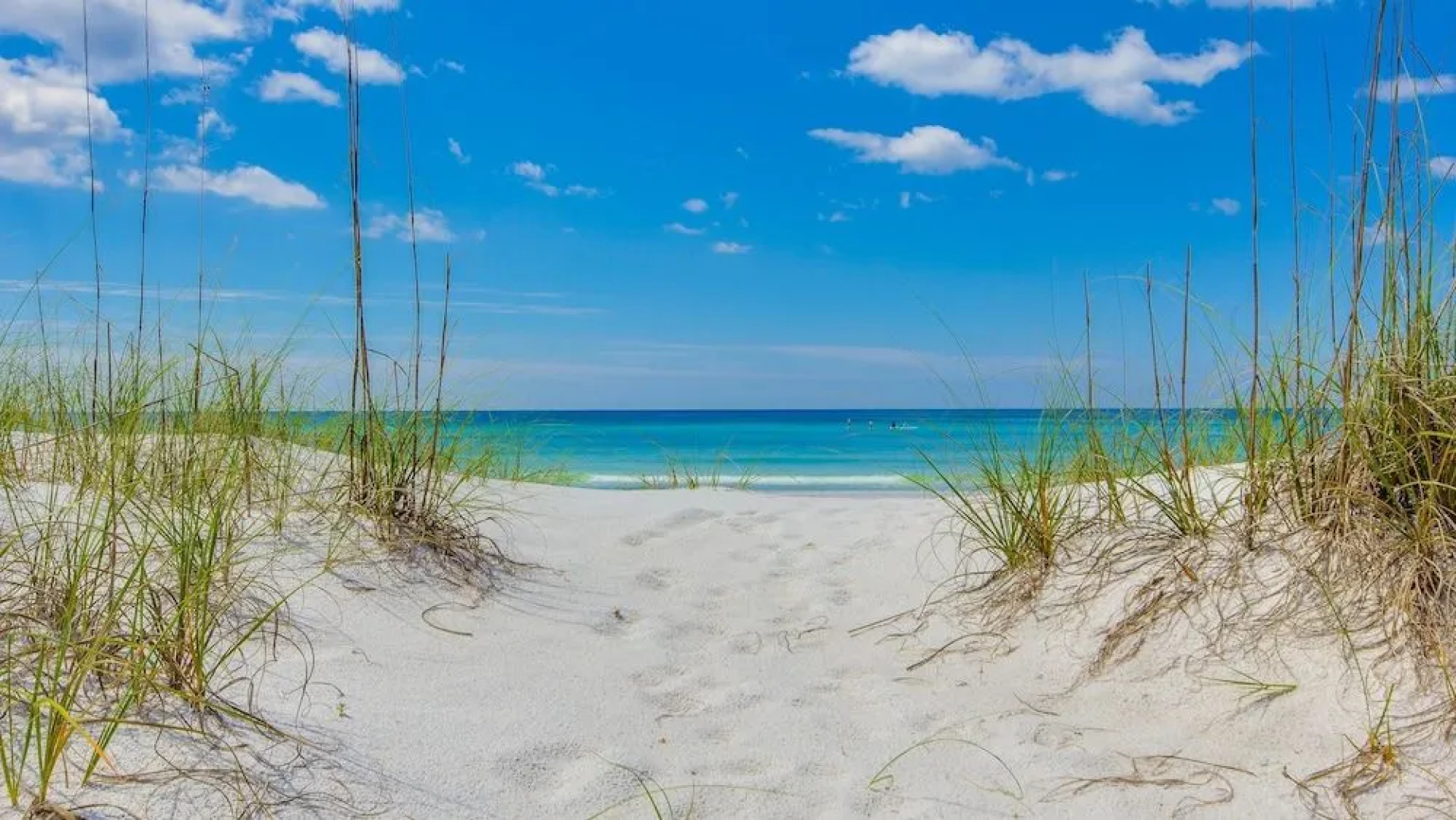 Vitamin Sea