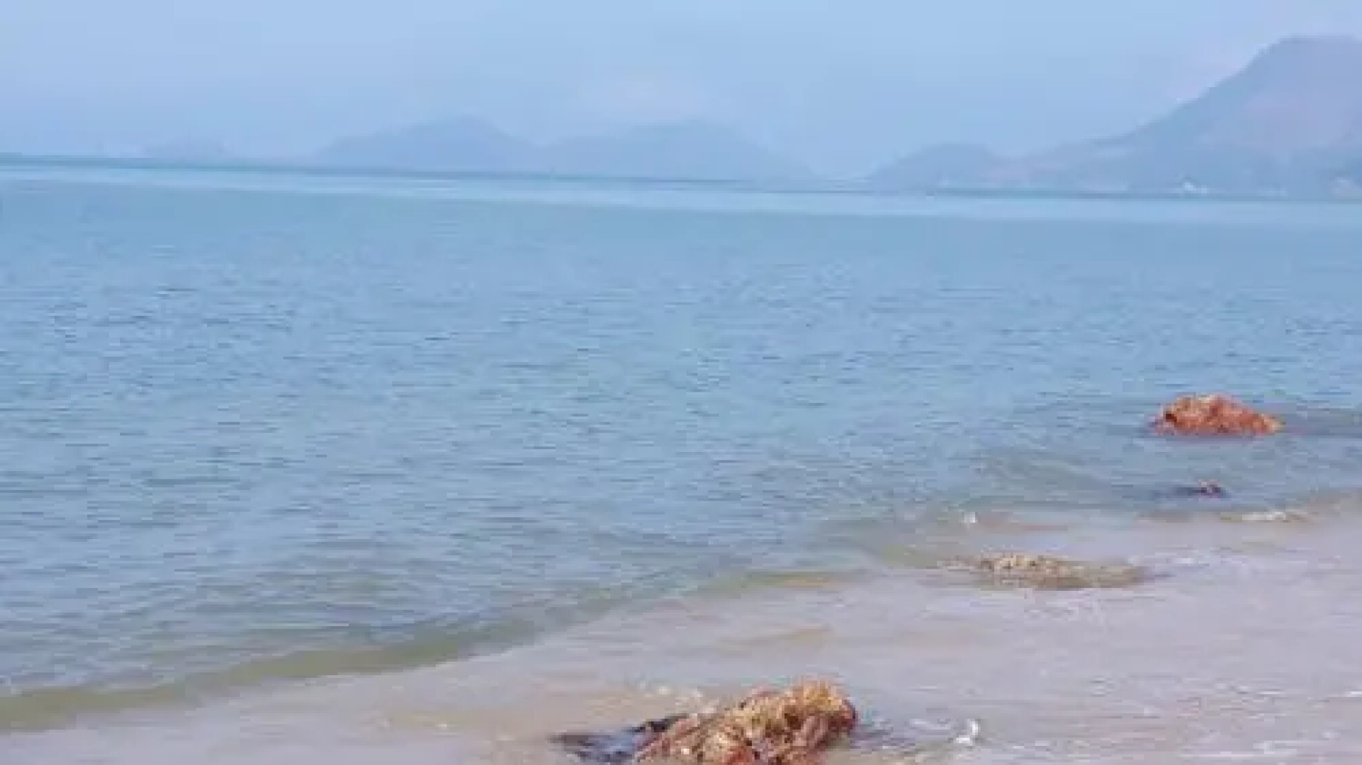 Condado Aldeia dos Reis 411 e 216