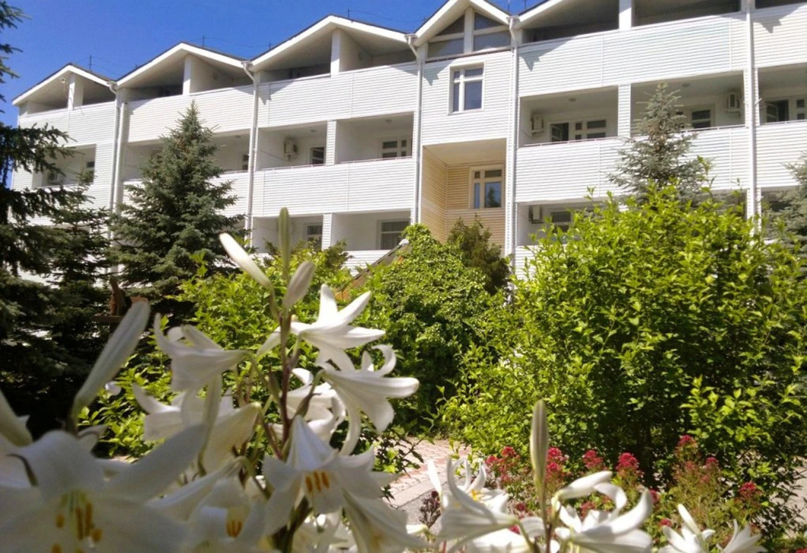 Корона(Евпатория)