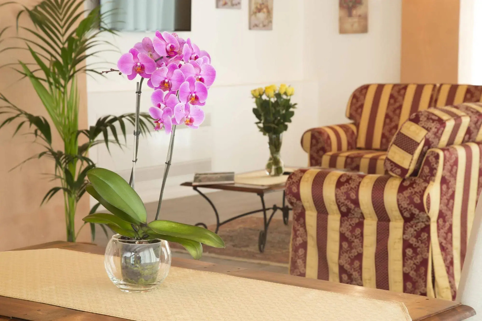 Agriturismo Ae Cavane