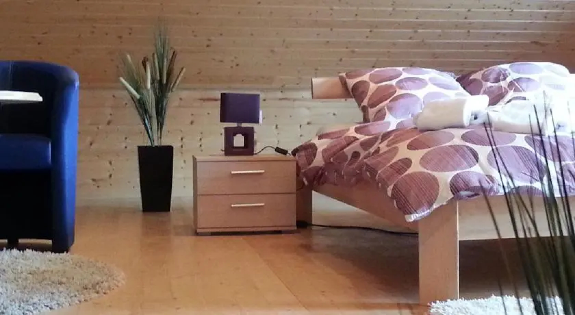 Hotel Restaurant du Sanetsch