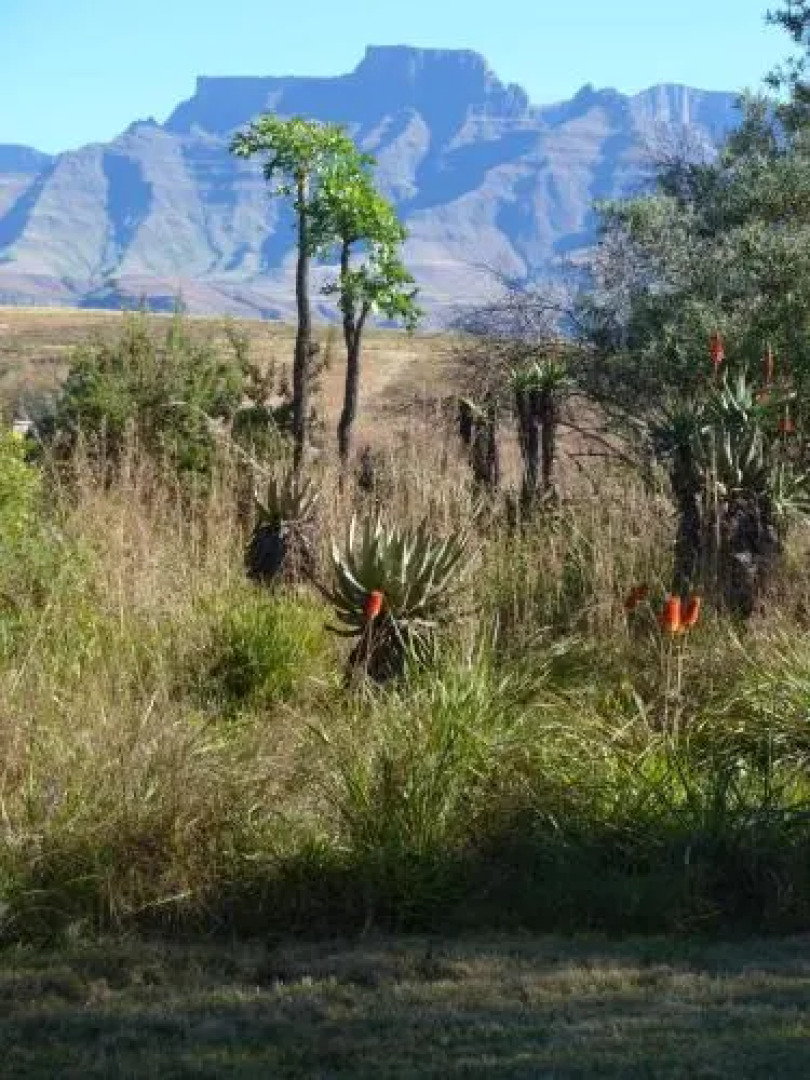 Inkosana Berg Lodge