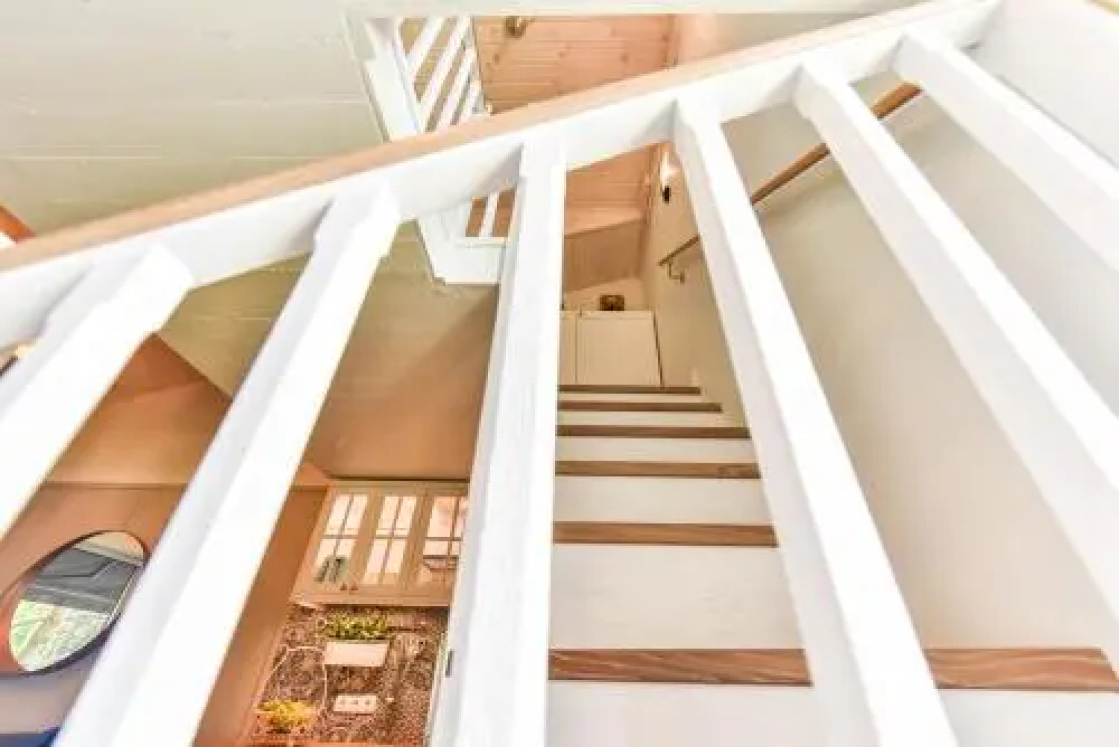 Ciki Puki Pajurys by alia Kopa