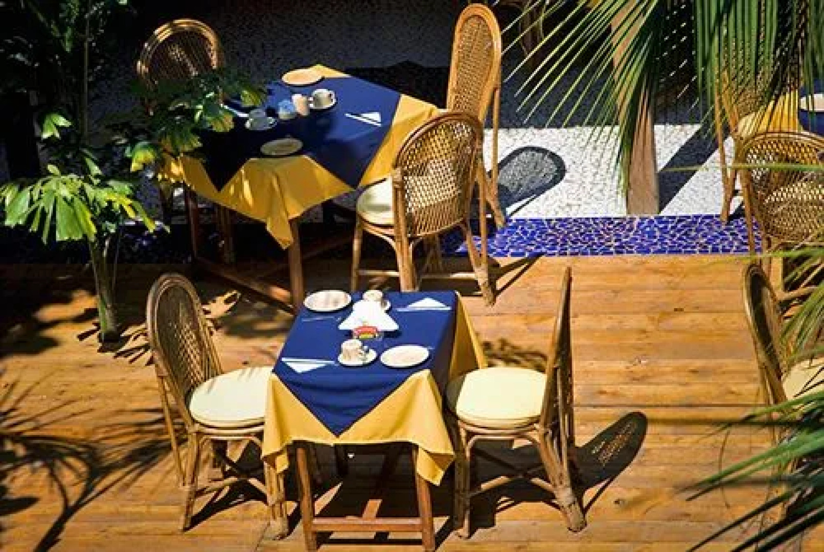 Bougainvillea Guest House