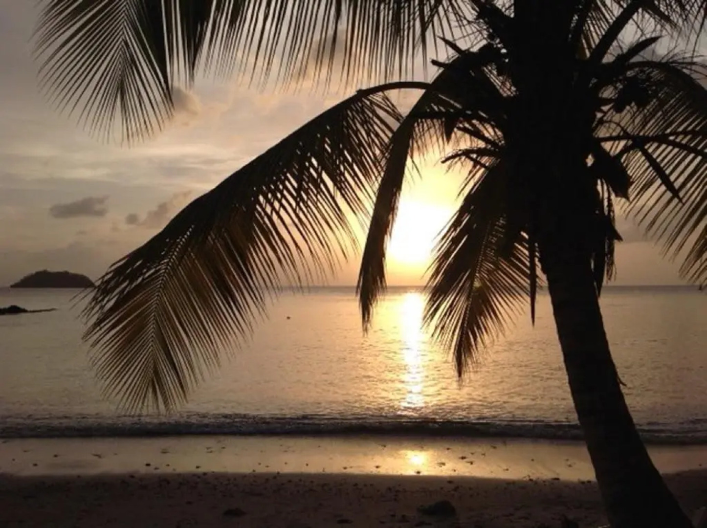 Villas Paradis Anse Figuier