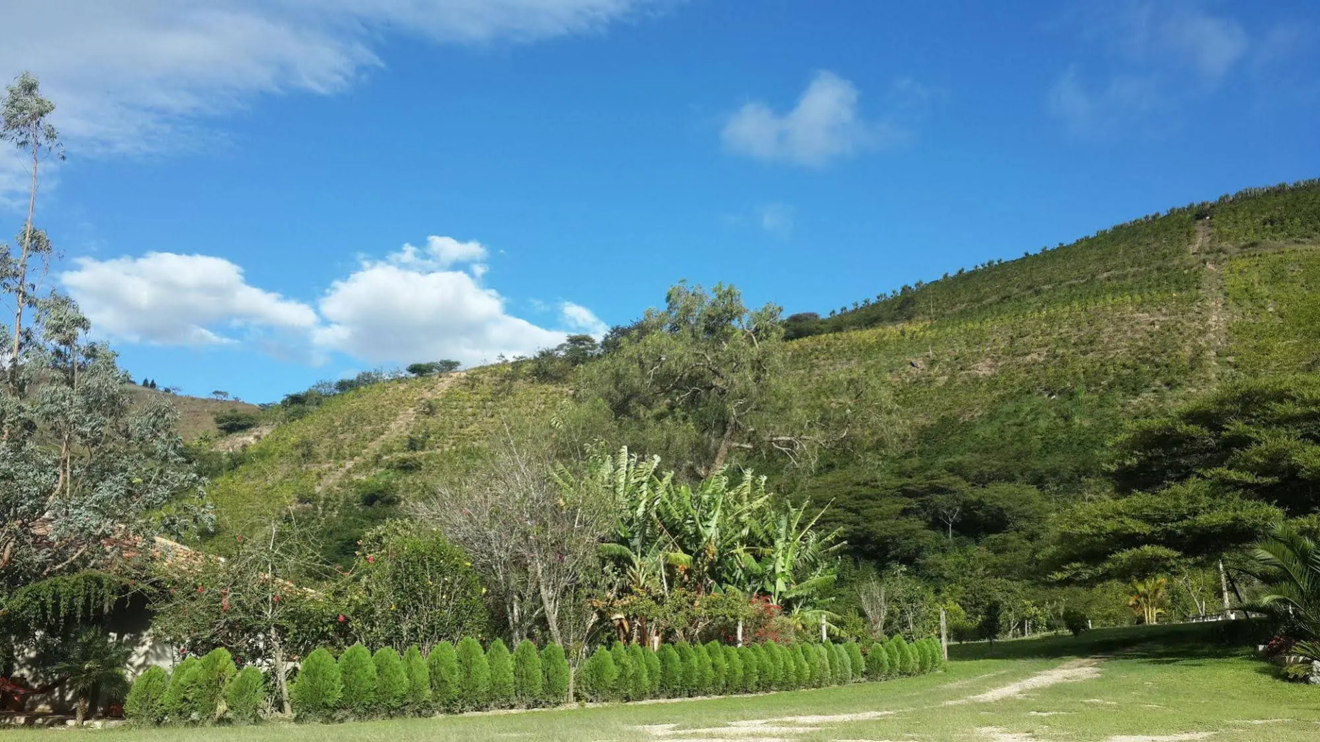 Hacienda Hosteria La Papaya