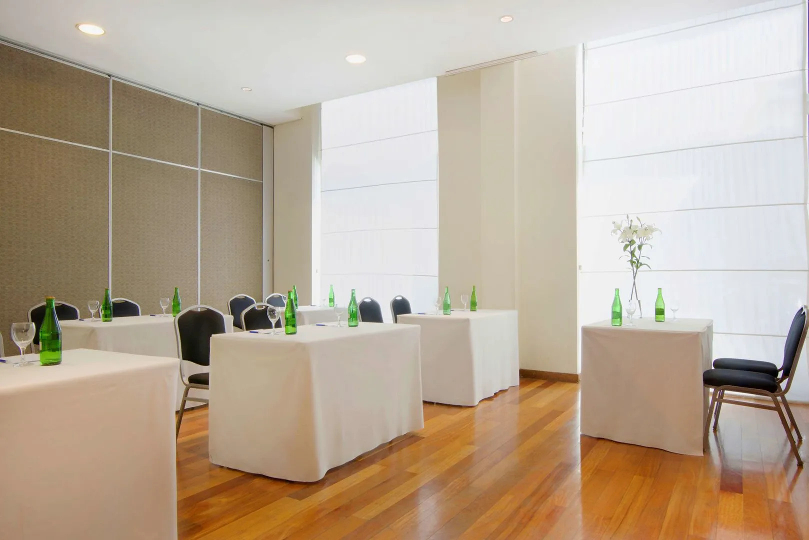 NH Mendoza Cordillera