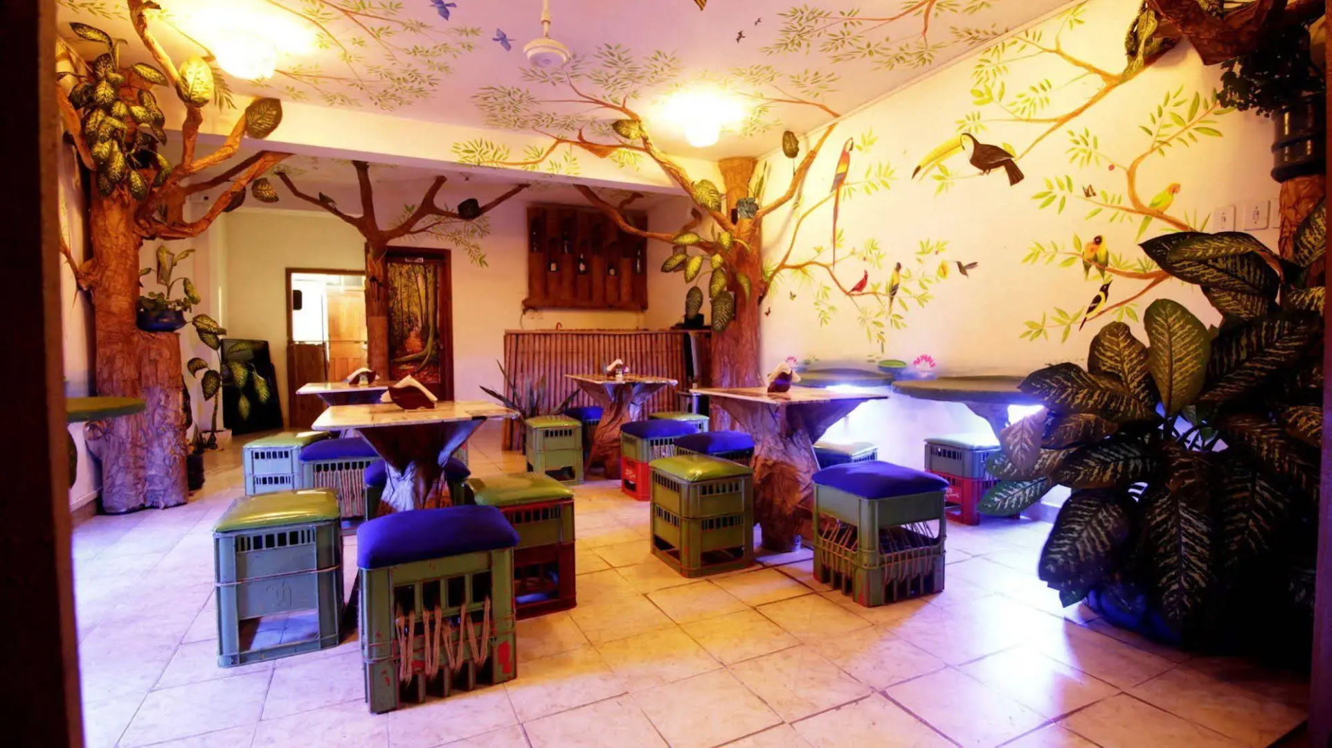 Eco hotel the refuge of the forest