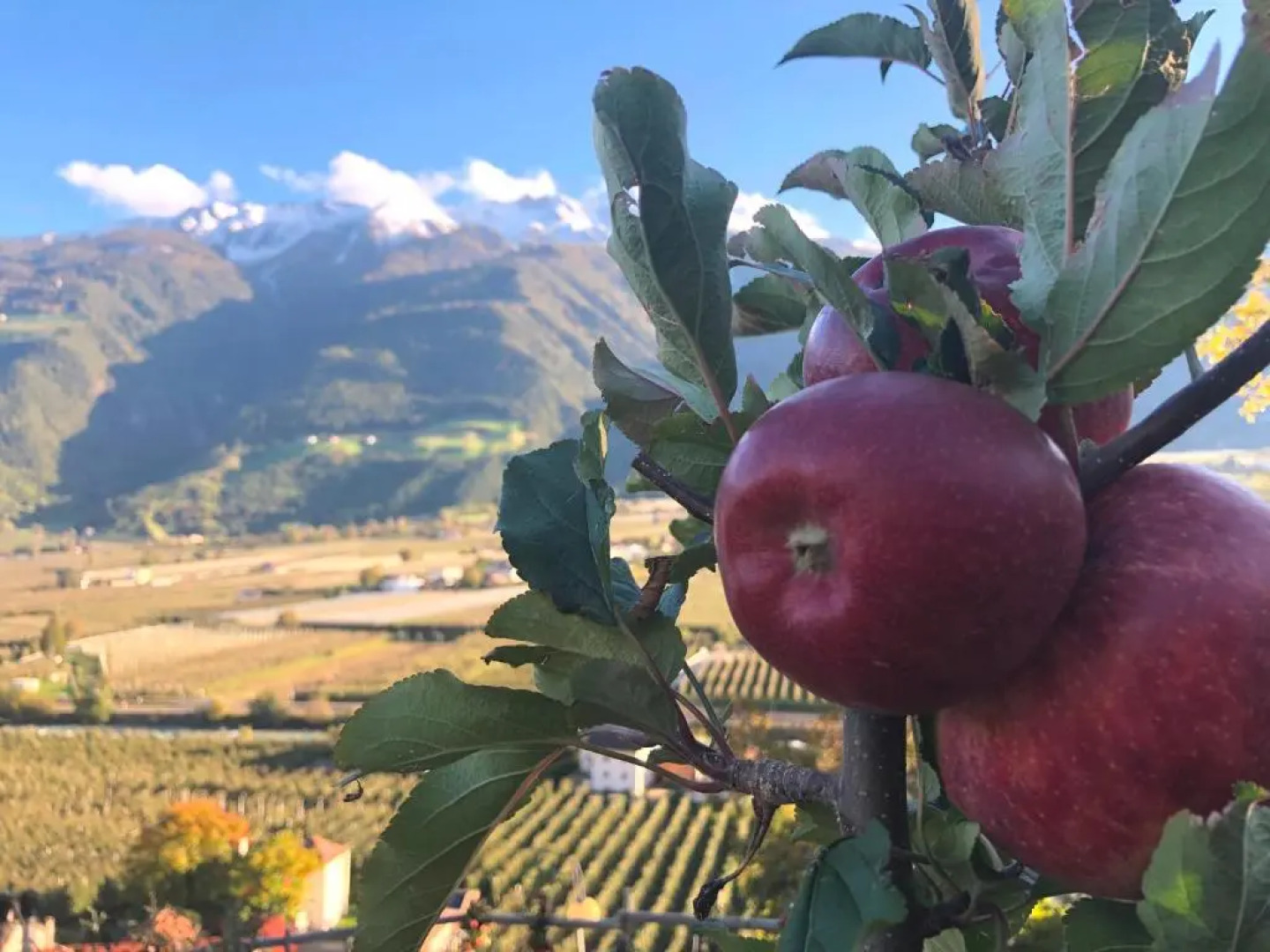 Haus Talblick "Neurautl" Ferienwohnung 2