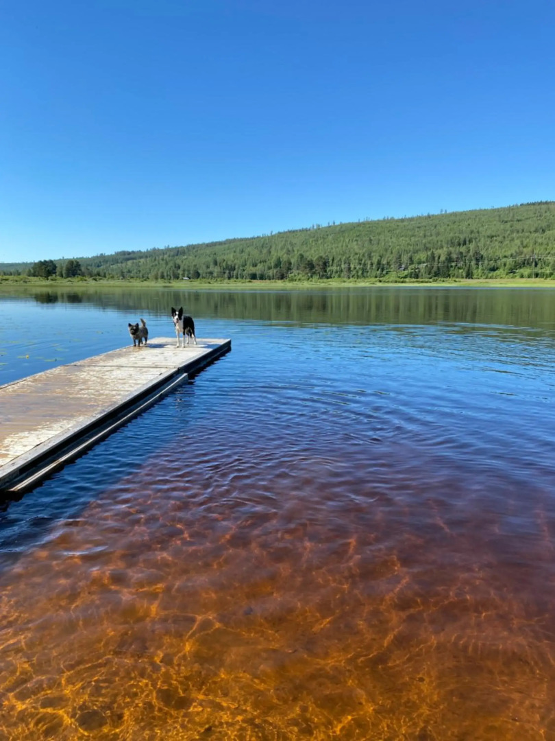 STF Sälen Torgåsgården