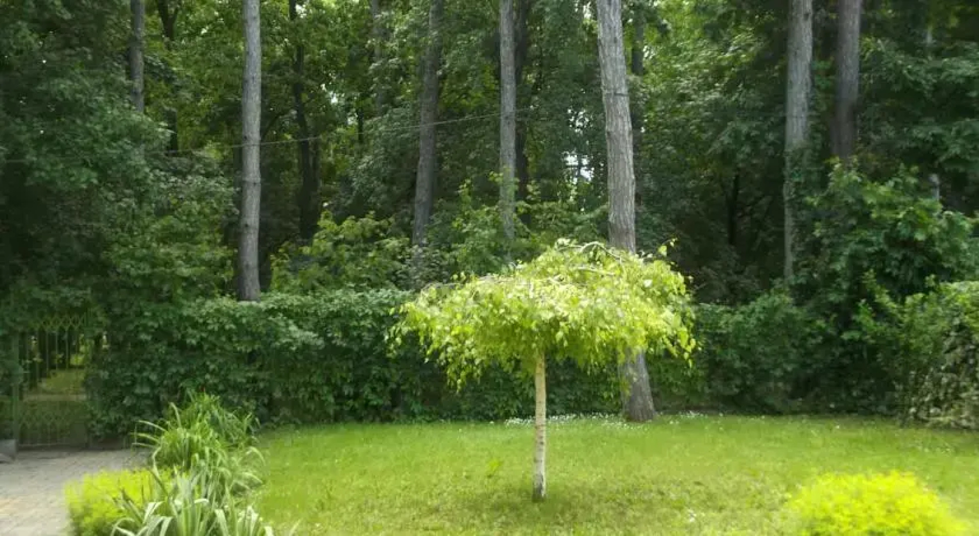 Füred Erdei Vendégház