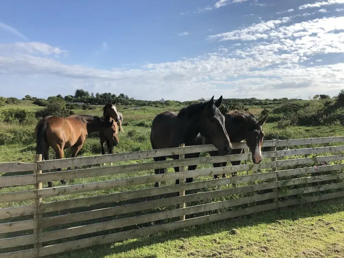 Country Retreat Sleeps 2 Near Cymyran Beach