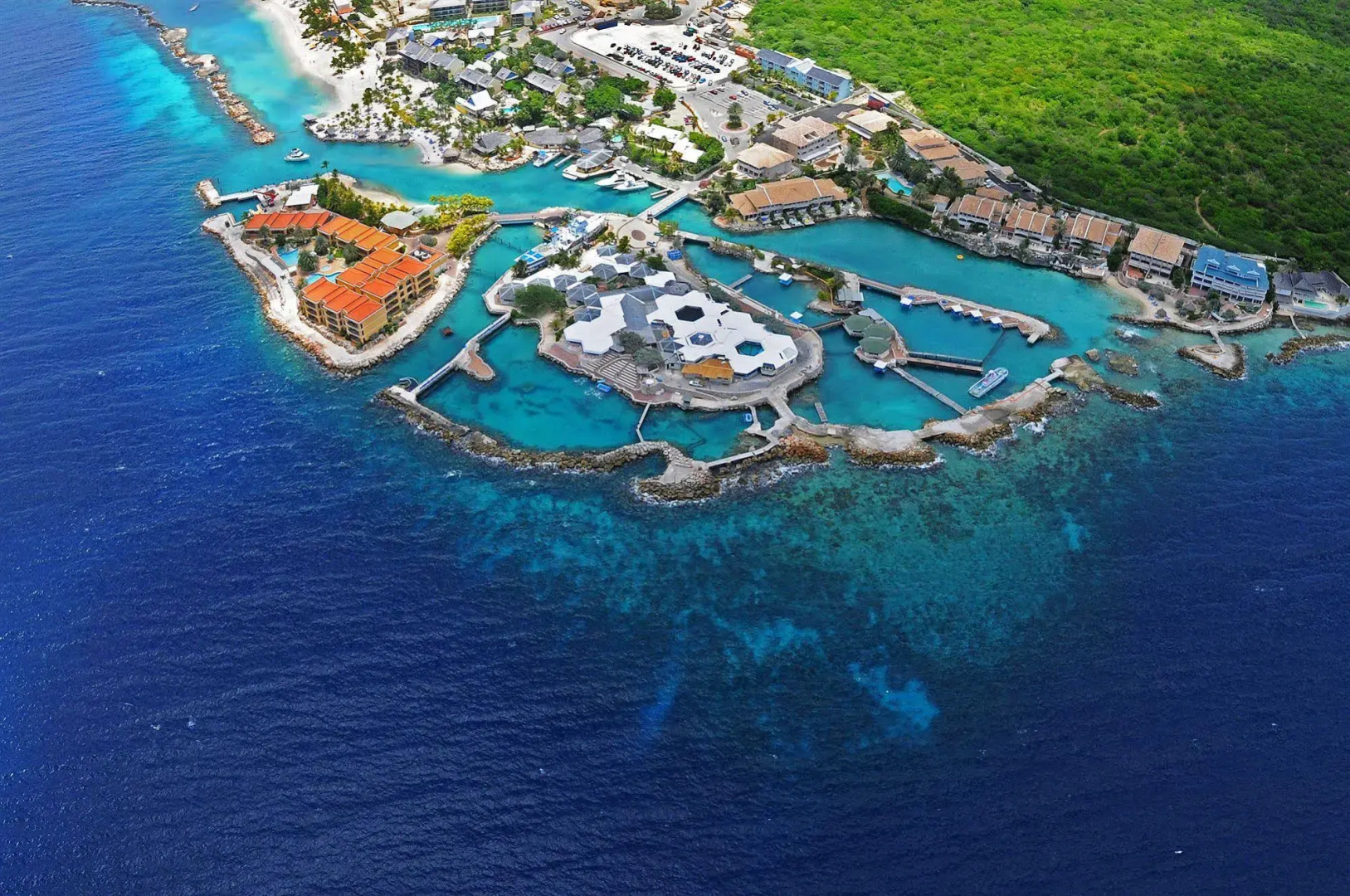 Dolphin Suites & Wellness Curacao