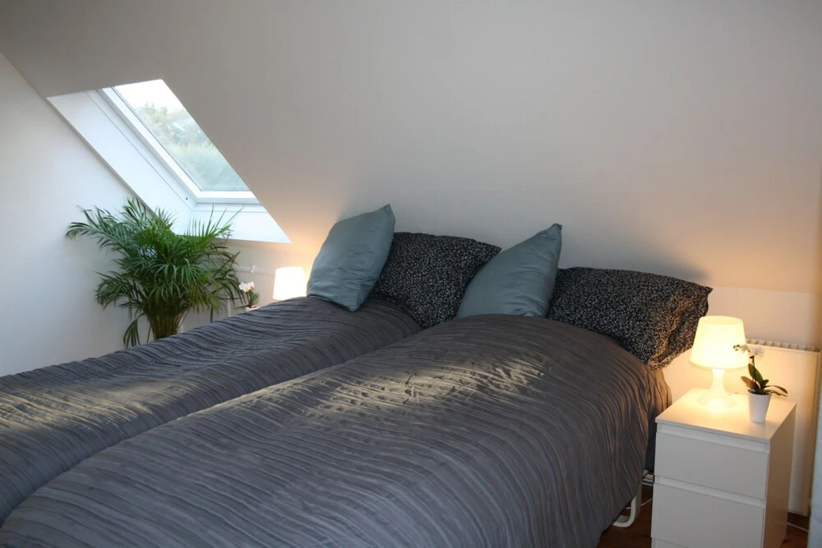 Ebogaard Bed and Breakfast