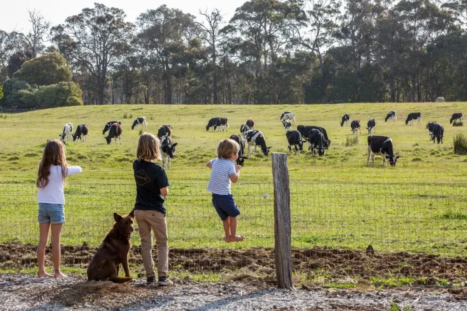 Redgate Forest Retreat