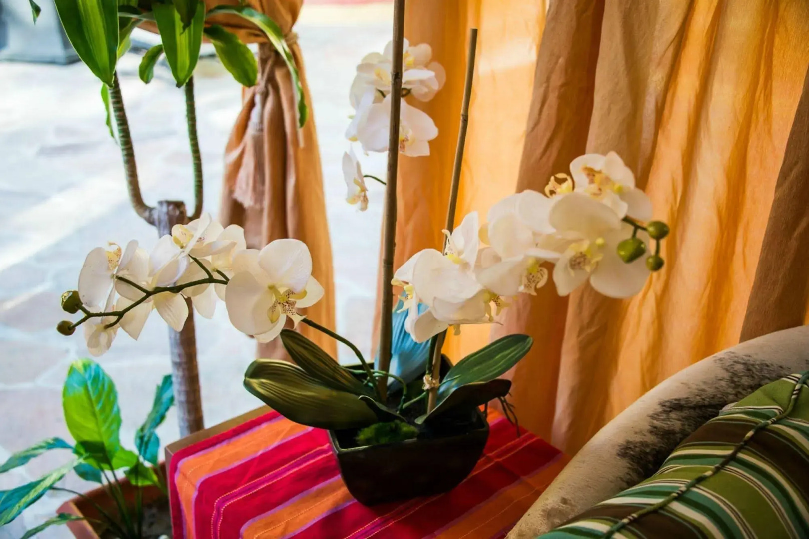 Tropicana Los Cabos, Tapestry Collection by Hilton