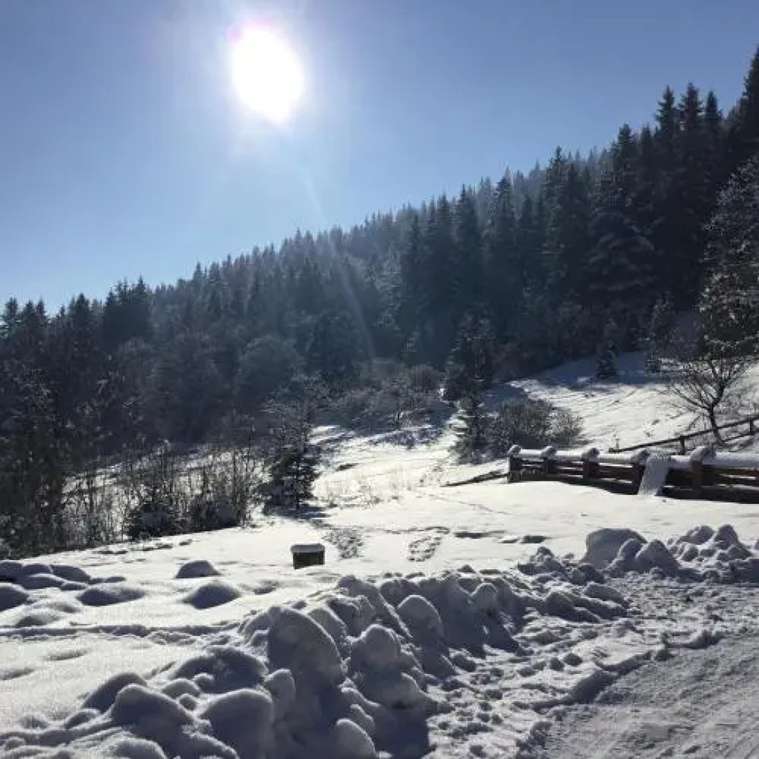 Sadyba na Gutsulsky Polonyni