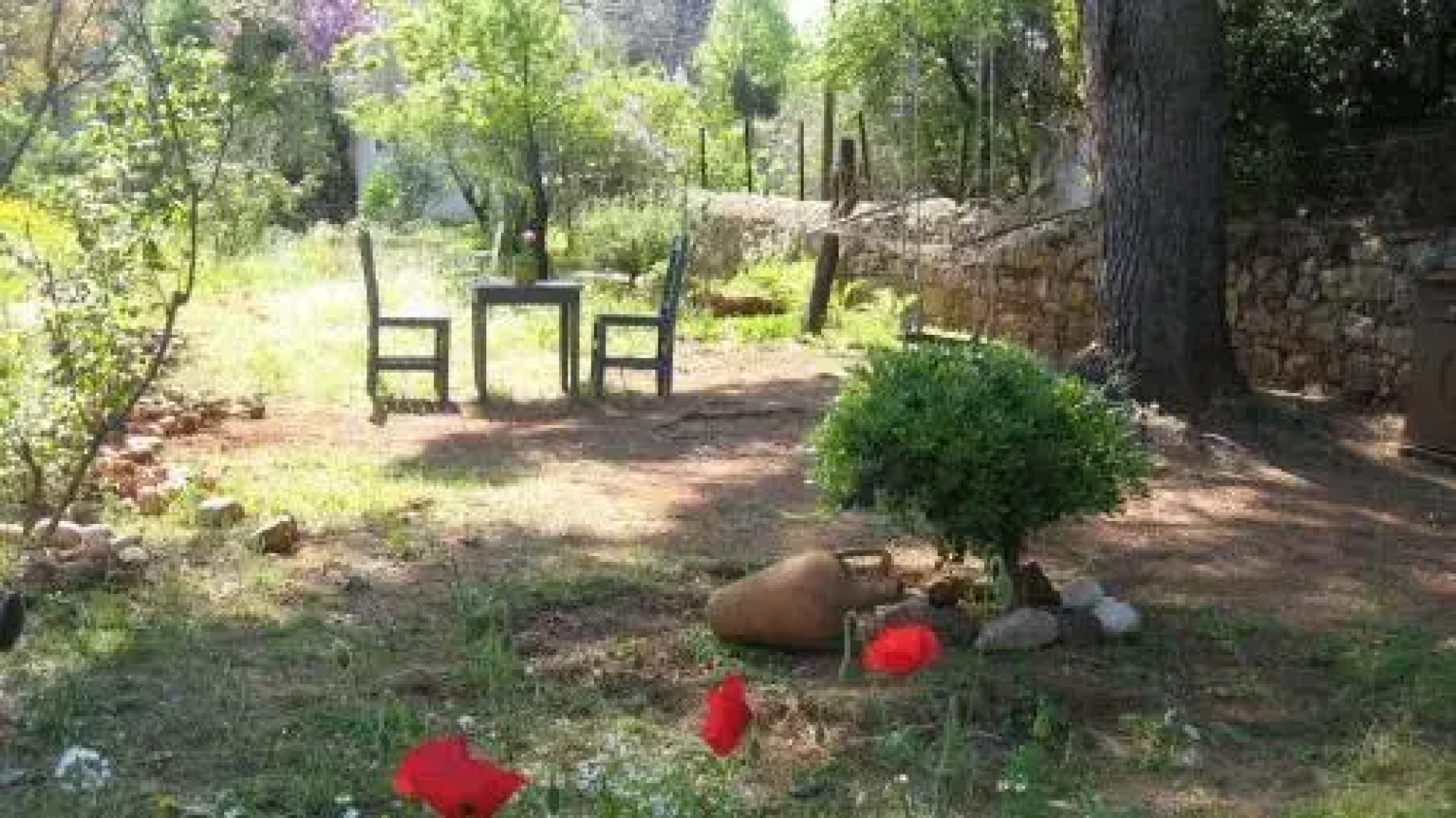 Ayvalik Dostlar Pansiyon