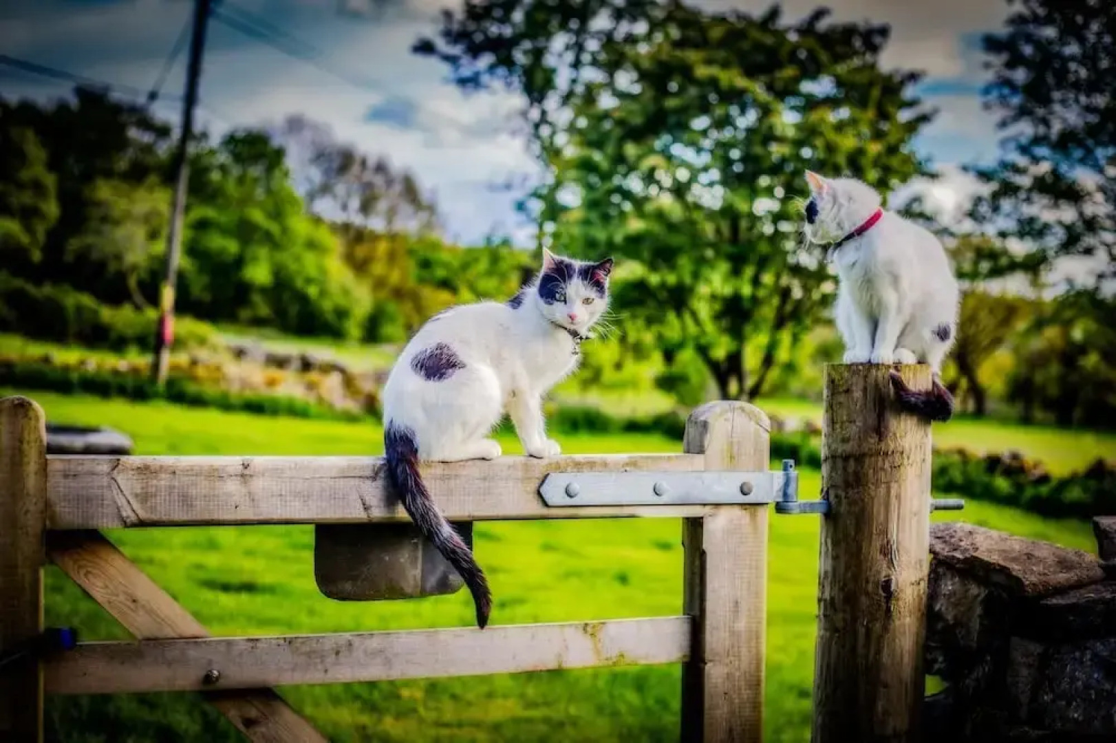 Sleeping Giant Bunkhouse