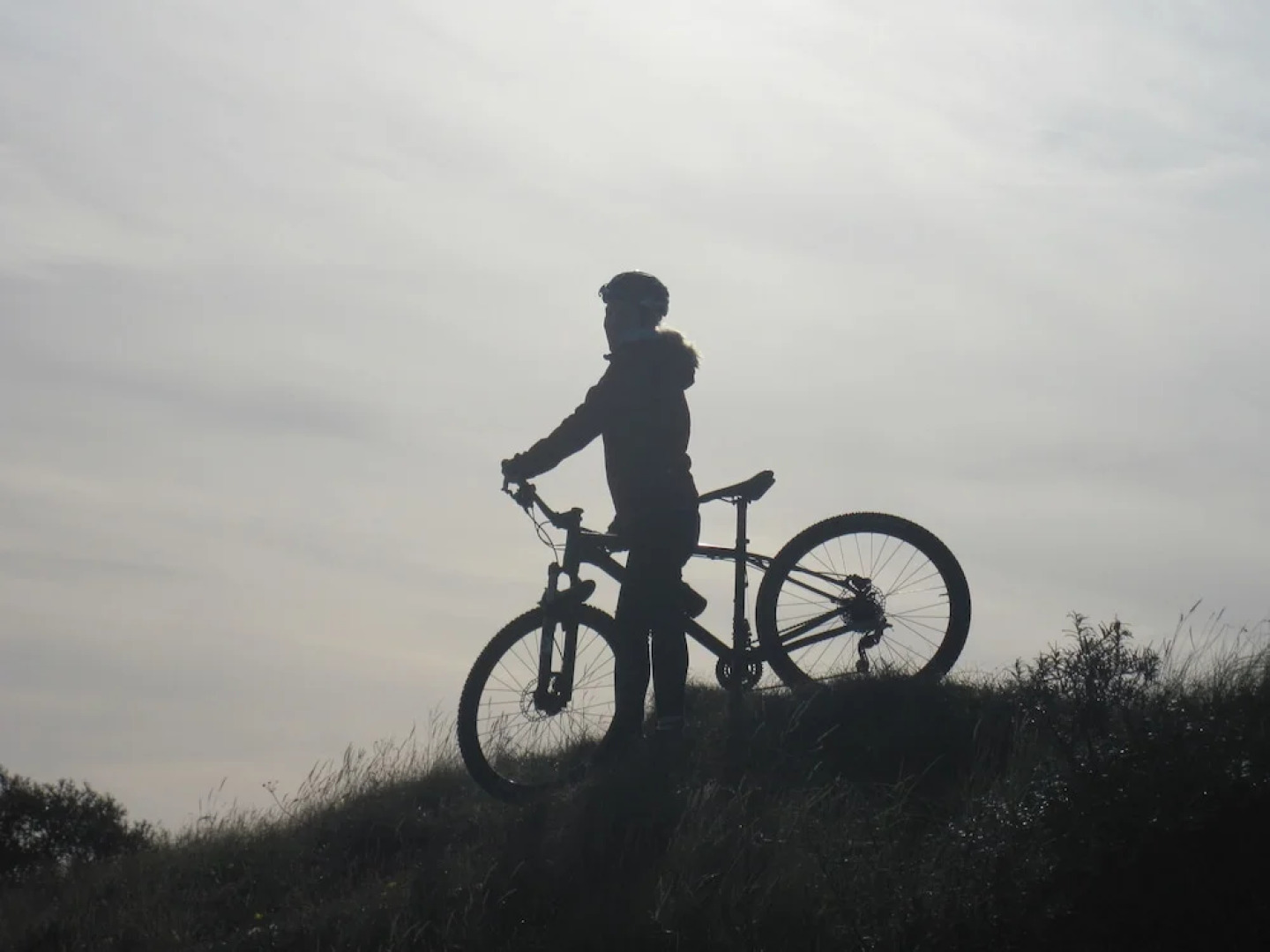 Hotel "Schauinsland"