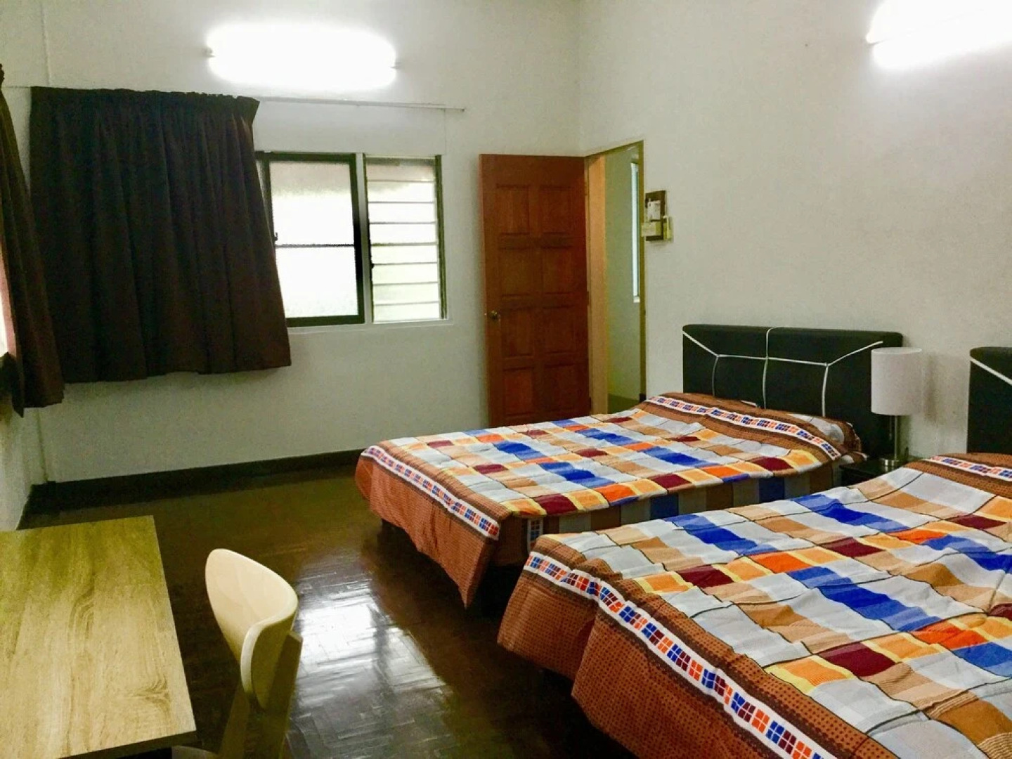 Sea Lion by the Beach