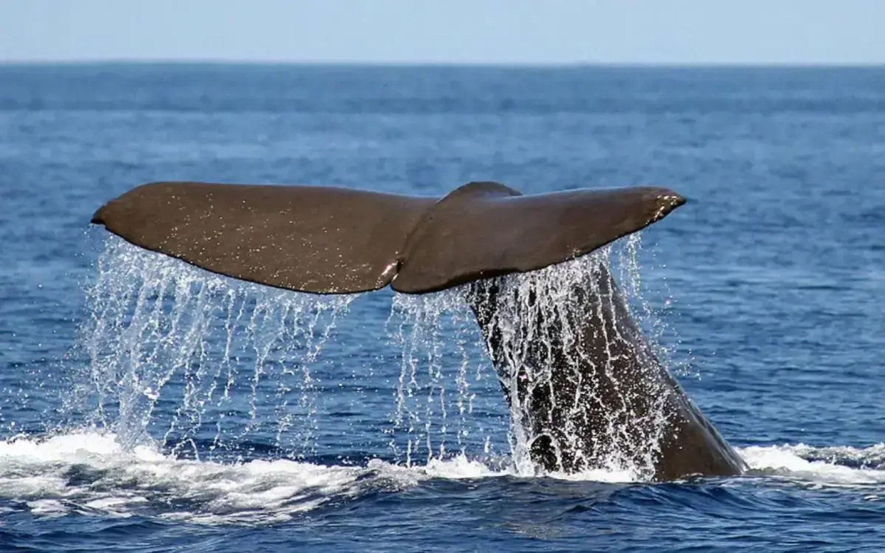 Quinta D. Maria & Inês