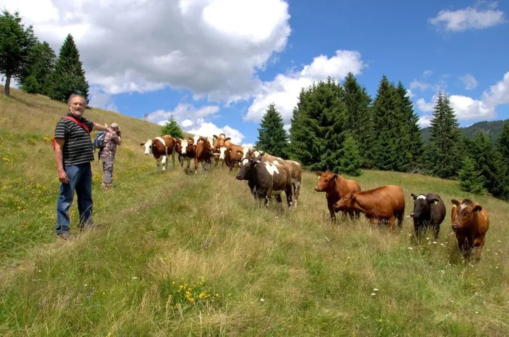 Landgasthof Hotel Bergblick