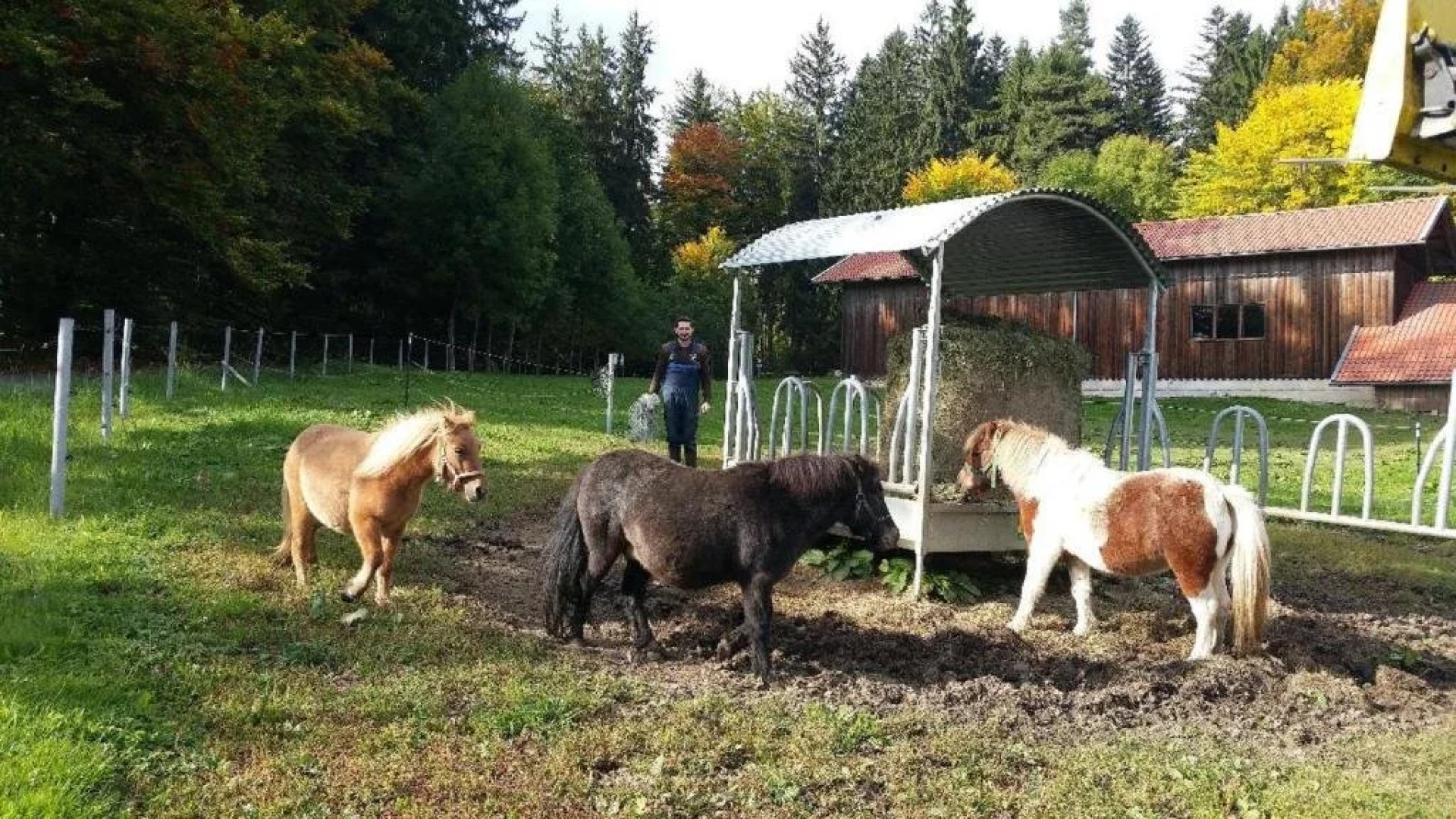 Feriengut Zum Frsten