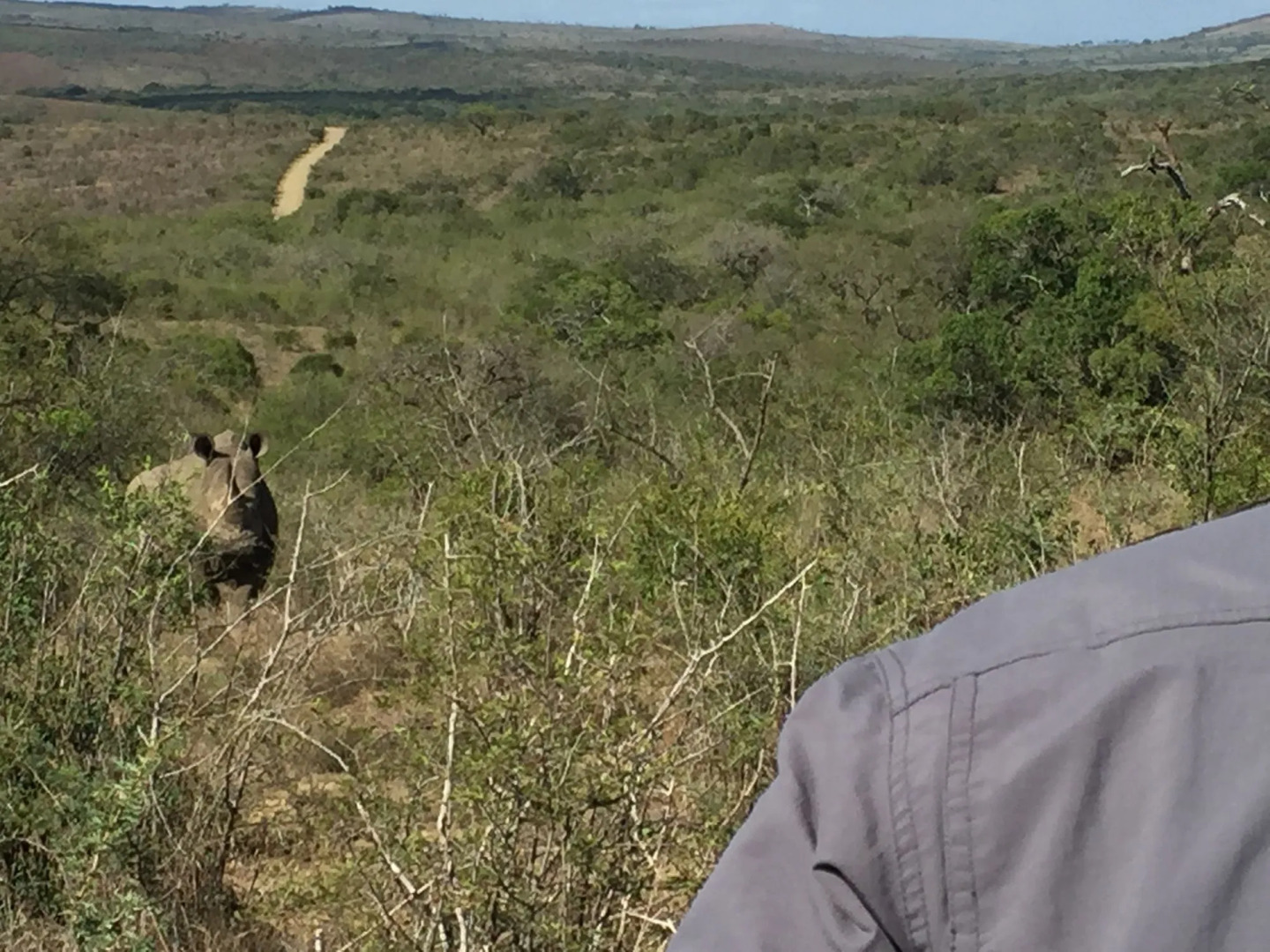 Rhino Ridge Safari Lodge