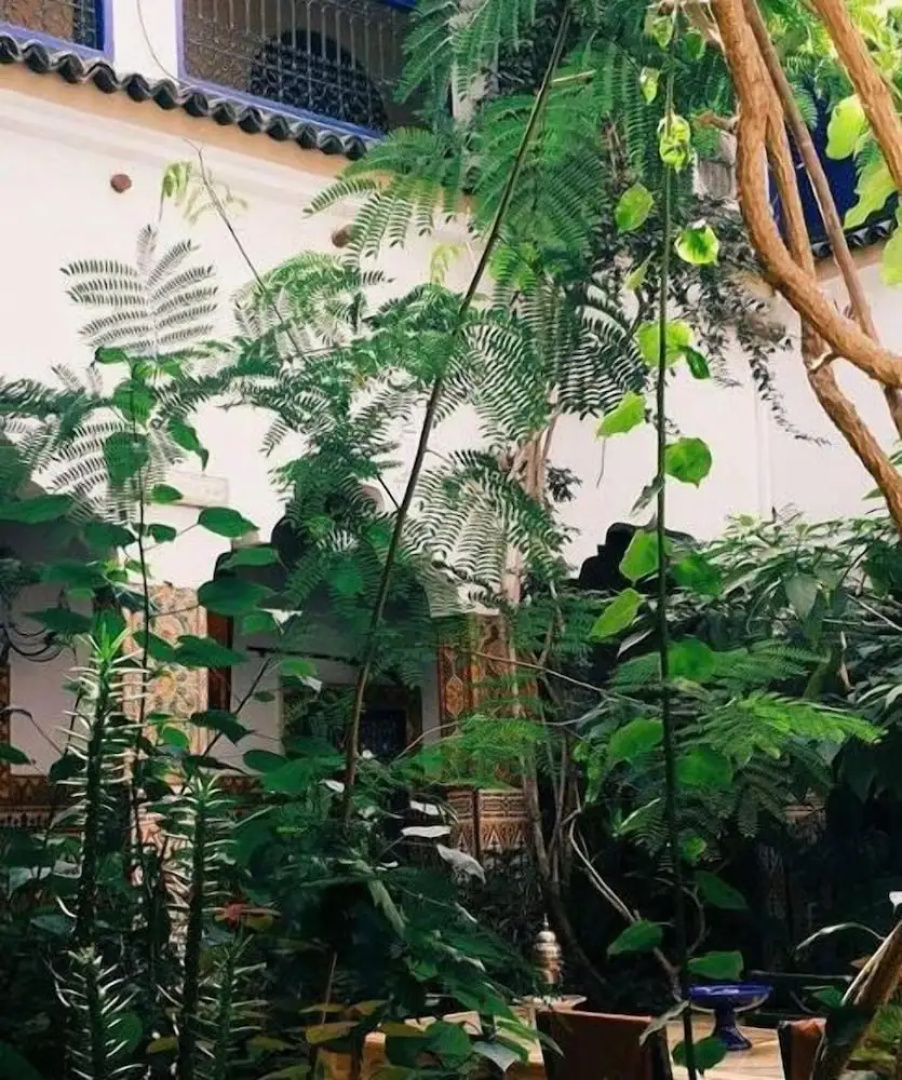 Riad Maryam