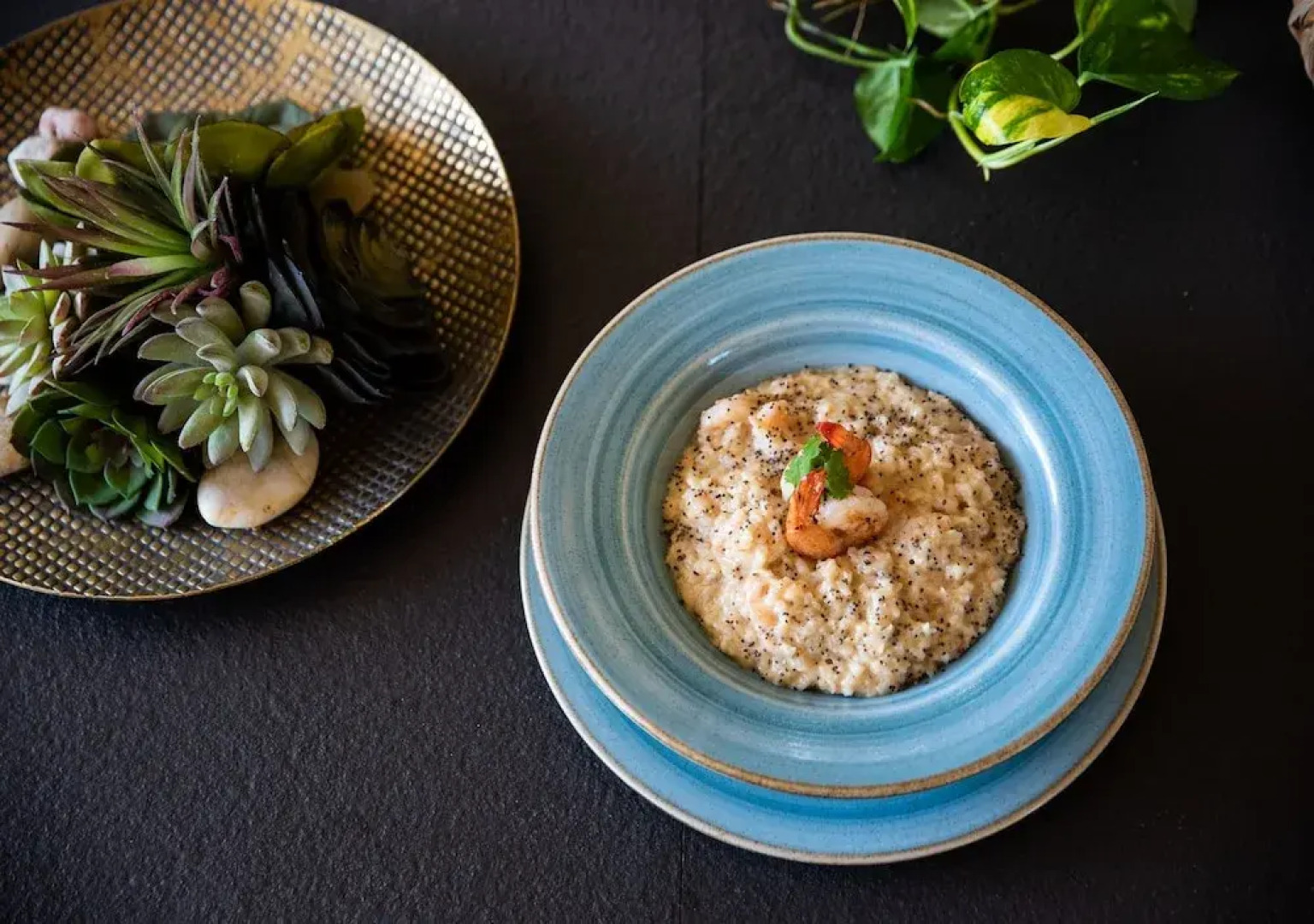 Gardenia Springs - La Finca Buritaca