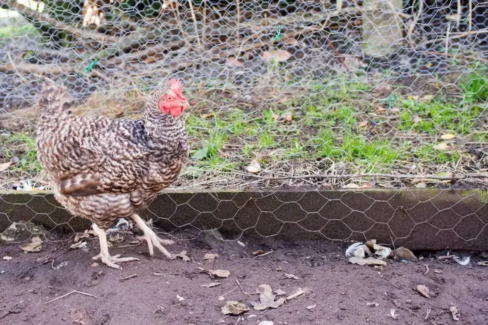 Super Spacious Barn Conversion With Free Wifi, Netflix Fireplace