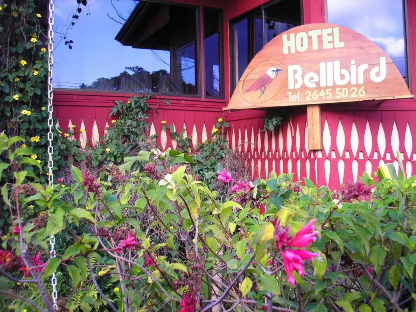 Hotel Bell Bird