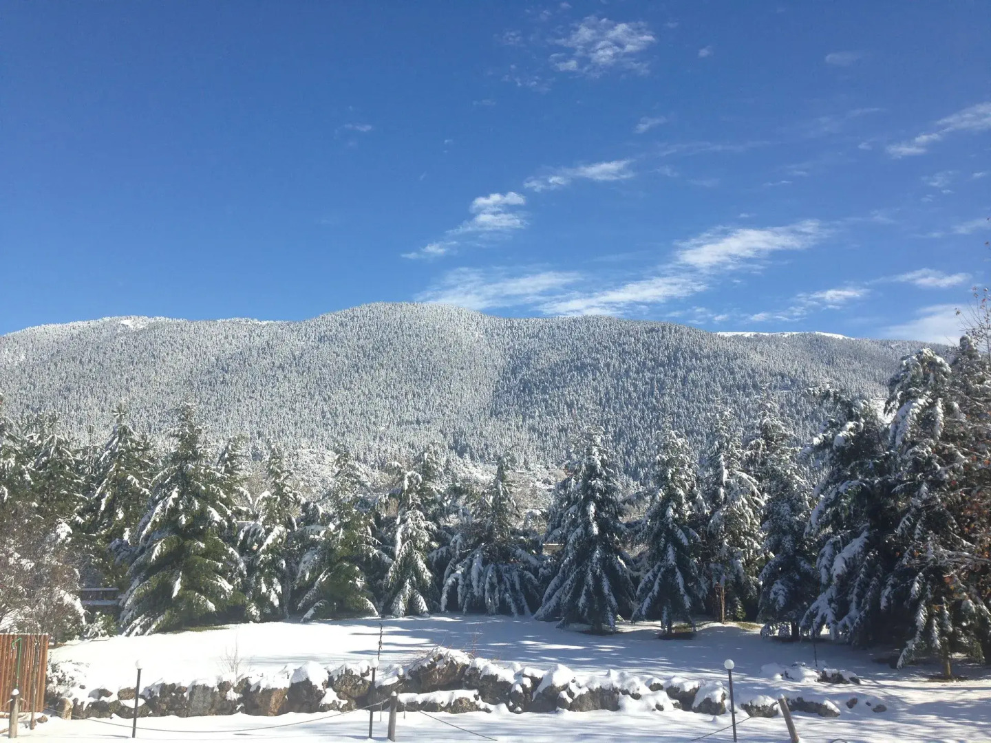 Vitina House Forest Resort