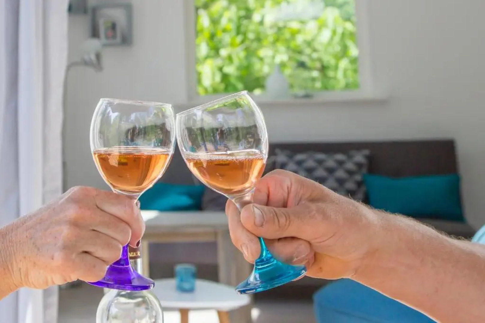 Tiny House Lijster Nunspeet Veluwe