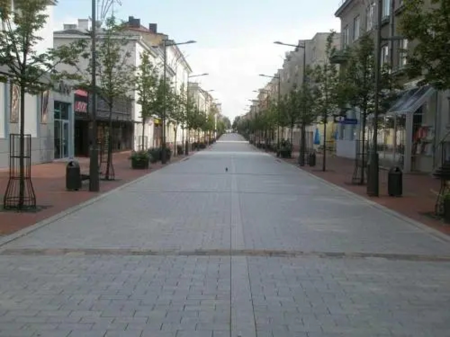 Downtown Apartment Rentals