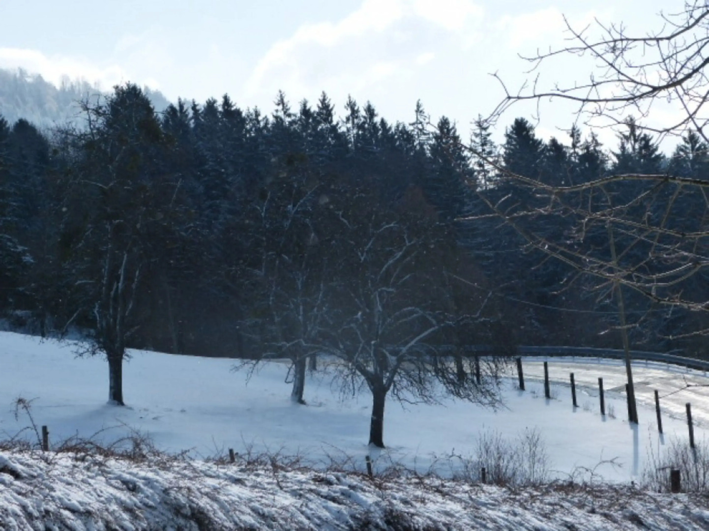 Le Bonheur dans le Pré