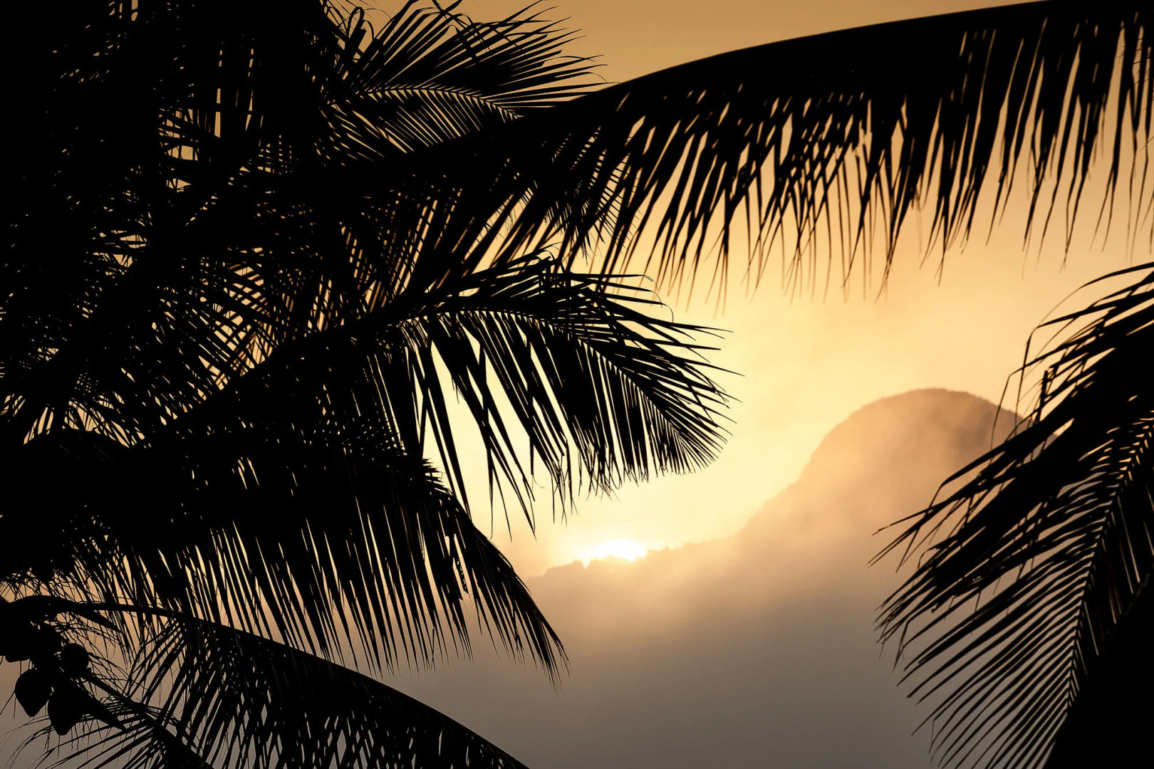 The Albatross, Kandy