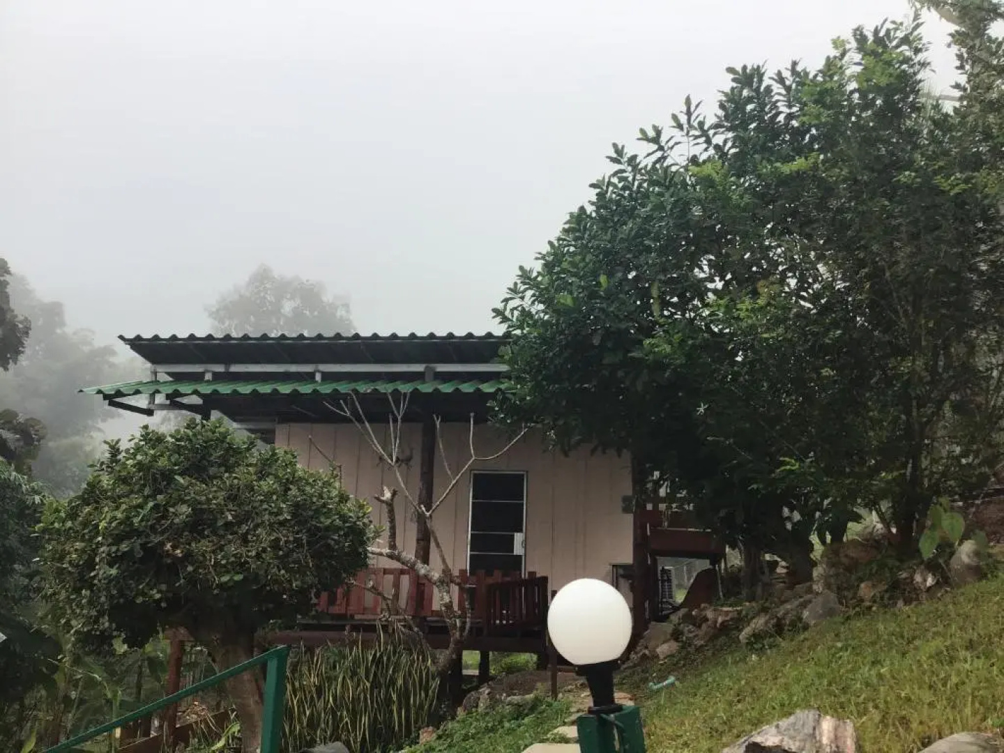 Forest Guesthouse