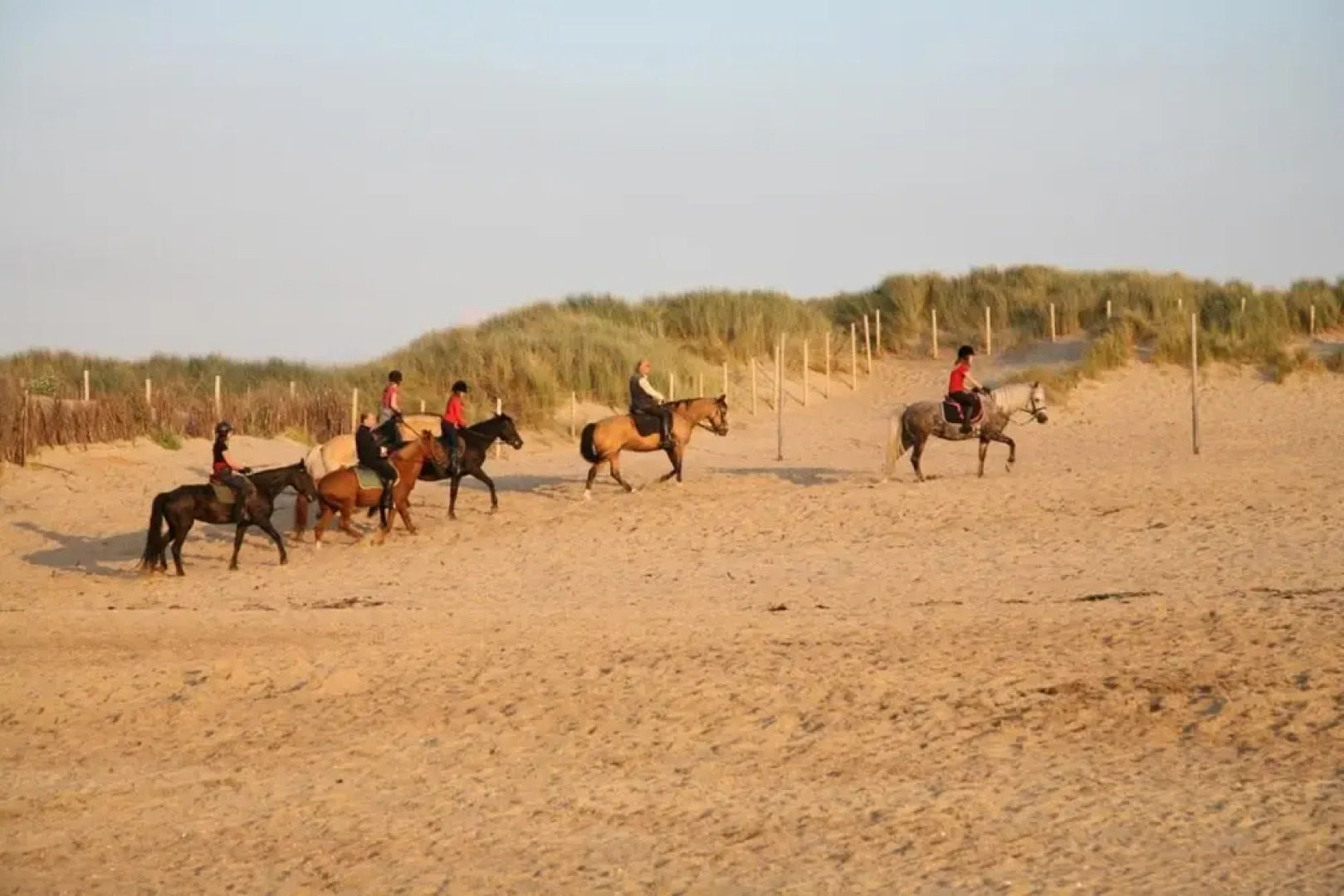 Appartement Dahlia Terras