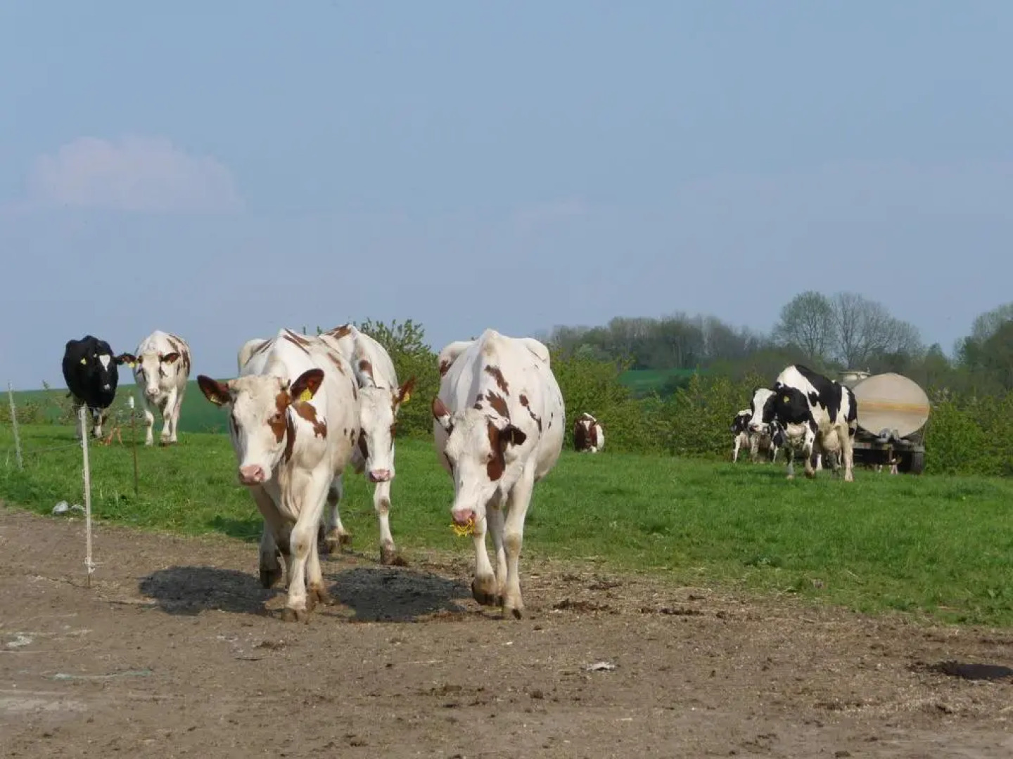 Ferienwohnung Birkenhof